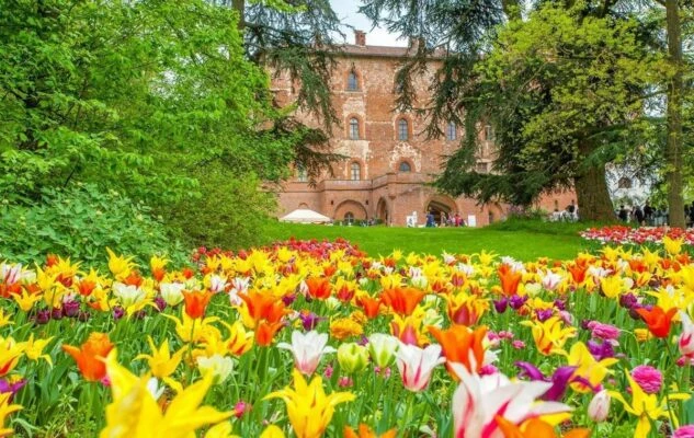 Messer Tulipano 2026 al Castello di Pralormo: un tuffo tra 100.000 tulipani e narcisi